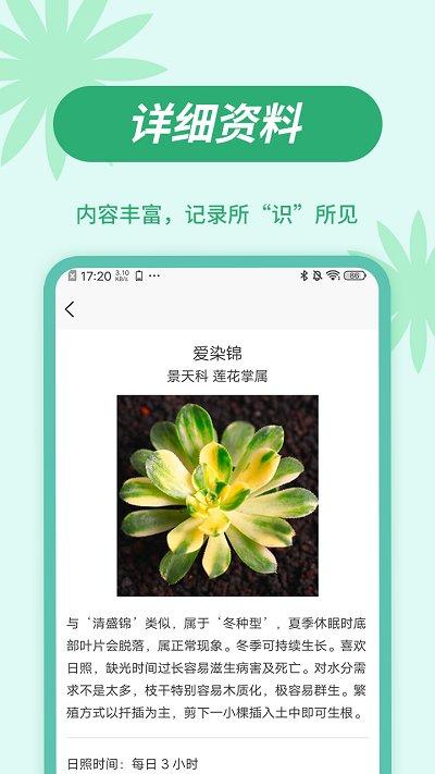 嘟嘟多肉app下载,嘟嘟多肉,多肉app,植物app